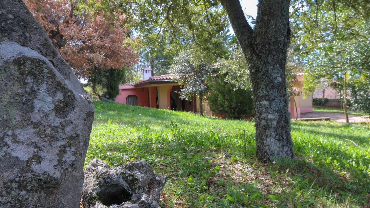 Villa Welcomely - Country House Perda E Testa Mamoiada Exterior foto